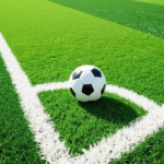 Artificial Grass, artificial grass, artificial turf, synthetic grass, fake grass, faux grass, synthetic turf, lawn grass, artificial lawn, fake lawn, turf grass, grass carpet, green grass carpet, landscape grass, landscaping turf, garden grass, garden turf, outdoor grass, indoor artificial grass, balcony grass, terrace grass, patio grass, rooftop grass, backyard grass, Artificial Grass, Artificial Grass Kenya, Artificial Turf Kenya, Synthetic Grass Kenya, Fake Grass Kenya, Artificial Lawn Kenya, Synthetic Lawn Kenya, Turf Grass Kenya, Garden Artificial Grass Kenya, Outdoor Artificial Grass Kenya, Indoor Artificial Grass Kenya, Landscaping Grass Kenya, Garden Turf Kenya, Artificial Green Grass Kenya,