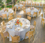 Banquet Chair, Banquet Seating, Banquet Hall Chair, Wedding Banquet Chair, Event Banquet Chair, Banquet Dining Chair, Stackable Banquet Chair, Folding Banquet Chair, Commercial Banquet Chair, Hotel Banquet Chair, Restaurant Banquet Chair, Conference Banquet Chair, Reception Banquet Chair, Function Hall Chair, Ballroom Chair, Event Chair, Wedding Chair, Reception Chair, Party Chair, Catering Chair, Conference Chair, Meeting Chair, Seminar Chair, Training Chair, banquet chair Kenya, banquet chairs Kenya, banquet seating Kenya, wedding banquet chair Kenya, event banquet chair Kenya, conference banquet chair Kenya, hotel banquet chair Kenya, restaurant banquet chair Kenya, catering chair Kenya, function chair Kenya, party chair Kenya, reception chair Kenya, stackable banquet chair Kenya, padded banquet chair Kenya, cushioned banquet chair Kenya