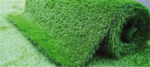 Meec Home Shop in Kenya grass carpet, grass carpets, artificial grass carpet, artificial grass, synthetic grass carpet, fake grass carpet, artificial turf carpet, synthetic turf carpet, fake grass, artificial lawn carpet, artificial lawn, synthetic lawn, fake lawn, artificial grass mat, grass mat, artificial grass matting, grass flooring, artificial grass flooring, synthetic grass flooring, outdoor grass carpet, indoor grass carpet, green carpet, Nairobi, Mombasa, Kisumu, Nakuru, Eldoret, Ruiru, Thika, Malindi, Kitale, Garissa, Kakamega, Nyeri, Machakos, Meru, Kiambu, Naivasha, Kilifi, Kericho, Bungoma, Narok, Embu, Nanyuki, Voi, Wajir, Marsabit, Lodwar, Isiolo, Homa Bay, Migori, Kisii, Busia, Siaya, Bomet, Murang'a, Nyahururu, Chuka, Limuru, Kikuyu, Ngong, Kajiado, Athi River, Kitengela, Ongata Rongai, Karen, Westlands, Kilimani, Lavington, Runda, Gigiri, Parklands, South B, South C, Lang'ata, Kasarani,