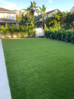 Meec Home Shop in Kenya grass lawn, lawn grass, grass for lawn, lawn turf, turf grass, green lawn, natural grass lawn, lush green lawn, fresh lawn grass, healthy lawn grass, premium lawn grass, quality lawn grass, residential lawn, home lawn, garden lawn, backyard lawn, front yard lawn, landscape lawn, garden grass, landscaping grass, landscaping lawn, lawn landscaping, lawn installation, lawn grass installation, lawn maintenance, lawn care, lawn services, lawn treatment, lawn renovation, Grass Lawn Nairobi, Grass Lawns Nairobi, Lawn Grass Nairobi, Lawn Grass Suppliers Nairobi, Grass Lawn Installation Nairobi, Lawn Installation Nairobi, Artificial Grass Lawn Nairobi, Natural Grass Lawn Nairobi, Green Lawn Nairobi, Grass Lawn Services Nairobi, Grass Lawn Mombasa, Grass Lawns Mombasa, Lawn Grass Mombasa, Lawn Grass Suppliers Mombasa, Grass Lawn Installation Mombasa, Lawn Installation Mombasa, Artificial Grass Lawn Mombasa, Natural Grass Lawn Mombasa, Green Lawn Mombasa, Grass Lawn Services Mombasa,