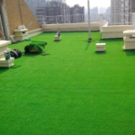 Meec Home Shop in Kenya grass lawn, lawn grass, grass for lawn, lawn turf, turf grass, green lawn, natural grass lawn, lush green lawn, fresh lawn grass, healthy lawn grass, premium lawn grass, quality lawn grass, residential lawn, home lawn, garden lawn, backyard lawn, front yard lawn, landscape lawn, garden grass, landscaping grass, landscaping lawn, lawn landscaping, lawn installation, lawn grass installation, lawn maintenance, lawn care, lawn services, lawn treatment, lawn renovation, Grass Lawn Nairobi, Grass Lawns Nairobi, Lawn Grass Nairobi, Lawn Grass Suppliers Nairobi, Grass Lawn Installation Nairobi, Lawn Installation Nairobi, Artificial Grass Lawn Nairobi, Natural Grass Lawn Nairobi, Green Lawn Nairobi, Grass Lawn Services Nairobi, Grass Lawn Mombasa, Grass Lawns Mombasa, Lawn Grass Mombasa, Lawn Grass Suppliers Mombasa, Grass Lawn Installation Mombasa, Lawn Installation Mombasa, Artificial Grass Lawn Mombasa, Natural Grass Lawn Mombasa, Green Lawn Mombasa, Grass Lawn Services Mombasa,